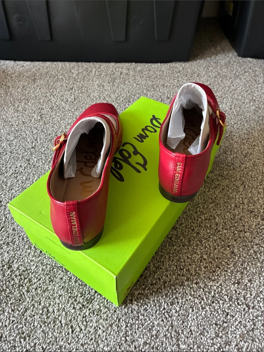 Sam Edelman Red Leather Mary Jane Flats with Gold Buckle